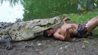crocodilul