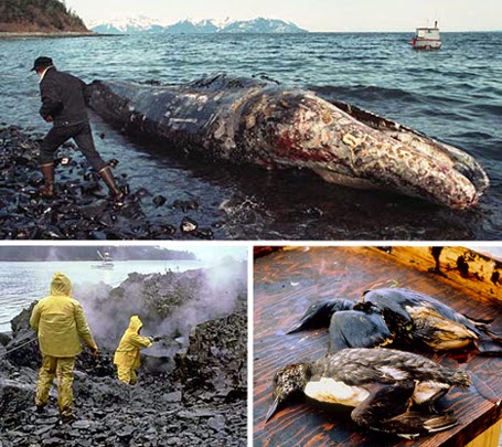 Exxon Valdez - dezastre ecologice