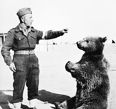 Povestea lui Wojtek, ursul din armata poloneza