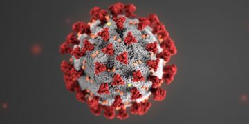 Coronavirus COVID-19 stiinta